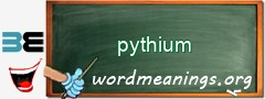 WordMeaning blackboard for pythium